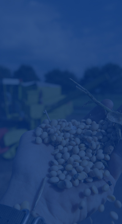 PROCESSING EQUIPMENT FOR RAW MATERIALS