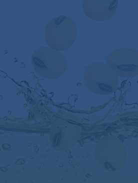 Planta de molienda de aceite de soja