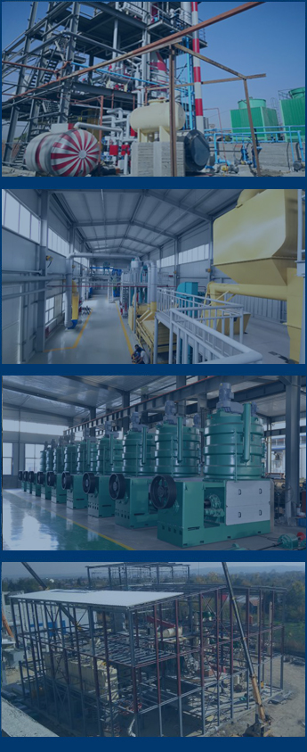 Caso de la planta de aceite de soja en el mundo