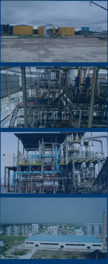 Caso de la planta de aceite de soja en el mundo