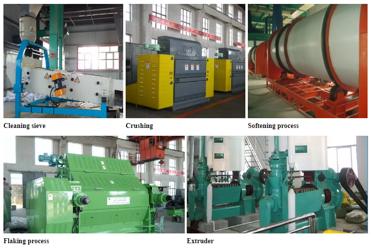 Soybean oil pretreatment process