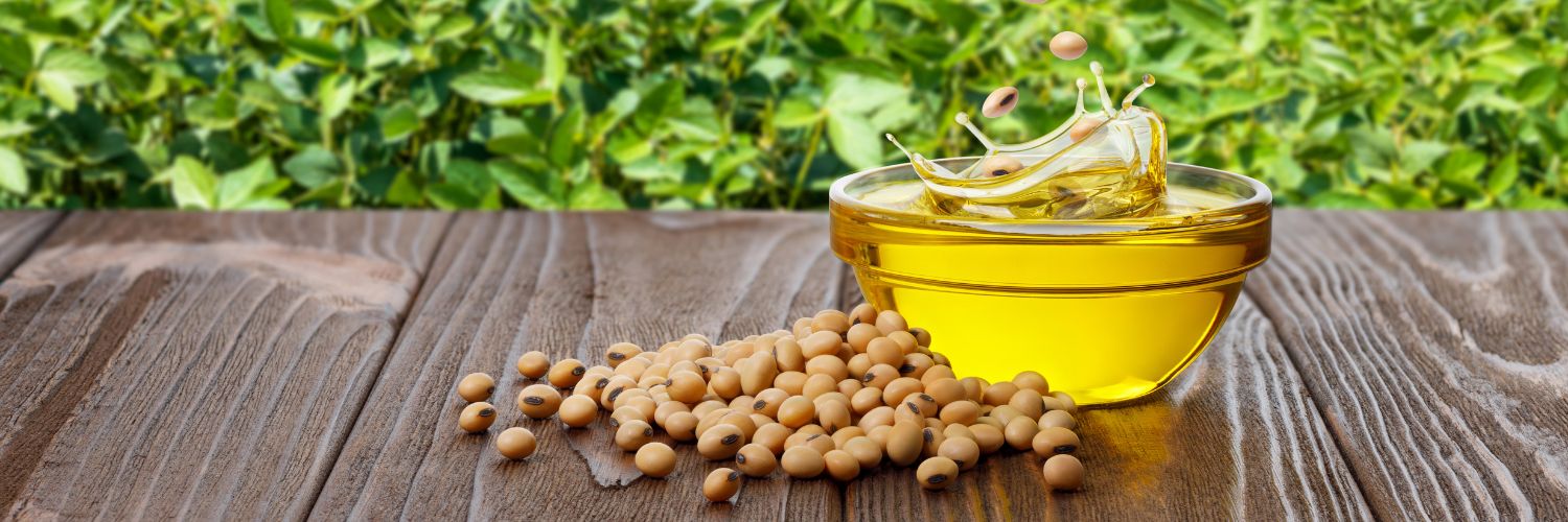 soybean oil