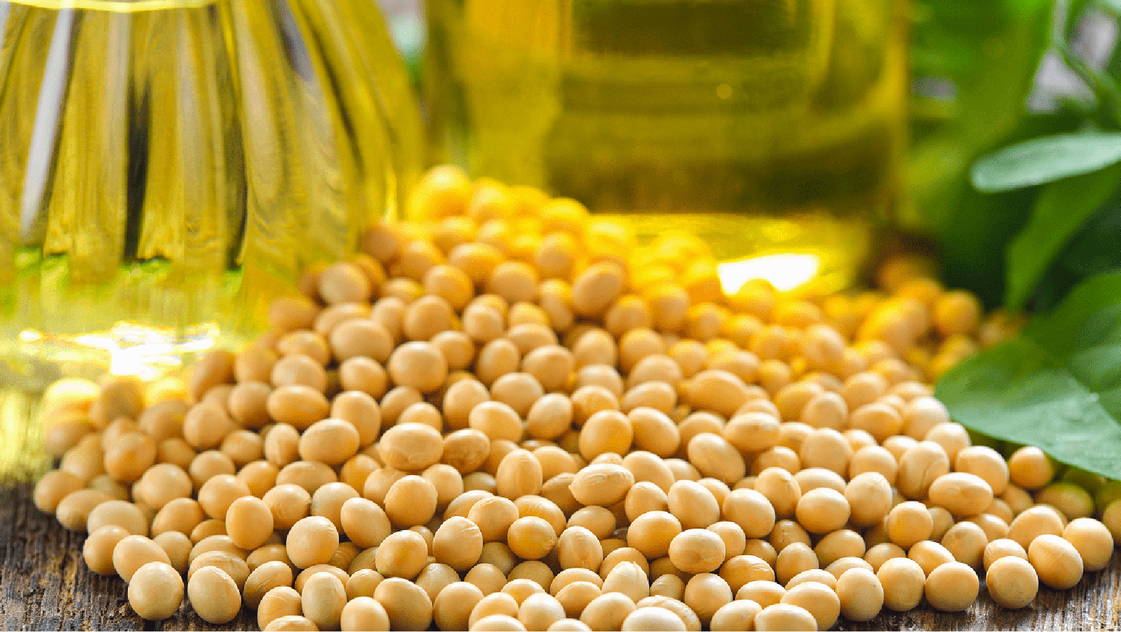 ¿Cómo se elabora el aceite de soja?