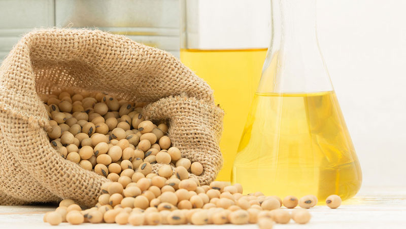 Guía de precios de máquinas extractoras de aceite de soja